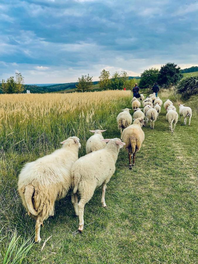 Farma Ovčí Terasy Villa Němčičky Bagian luar foto