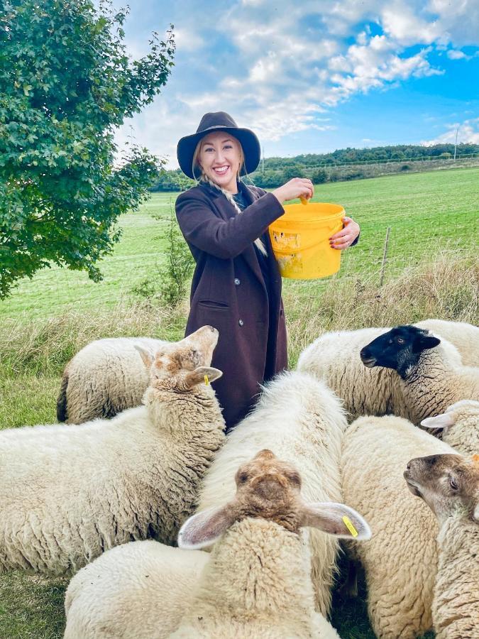 Farma Ovčí Terasy Villa Němčičky Bagian luar foto