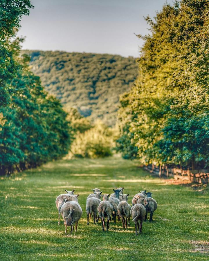 Farma Ovčí Terasy Villa Němčičky Bagian luar foto