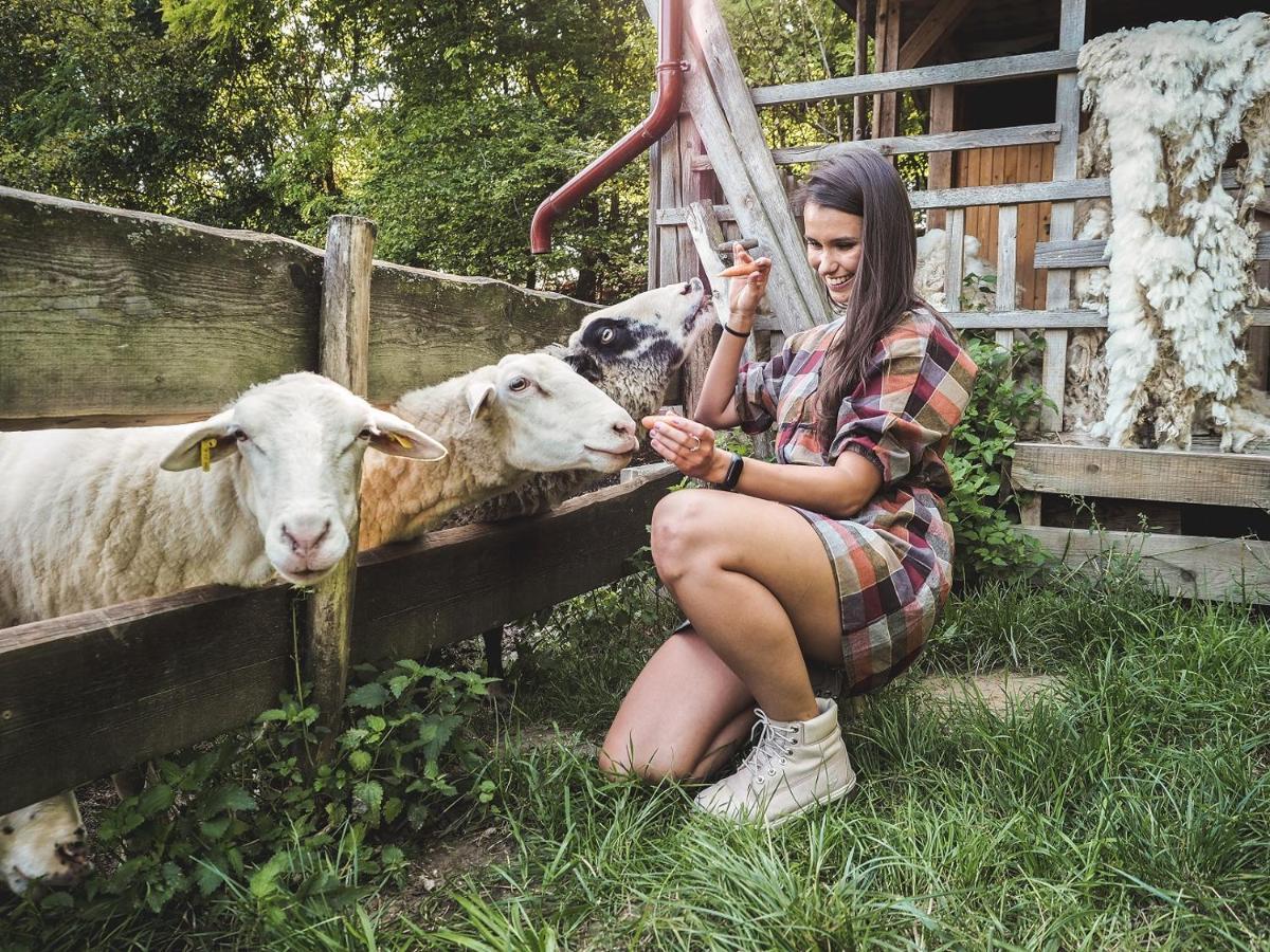 Farma Ovčí Terasy Villa Němčičky Bagian luar foto